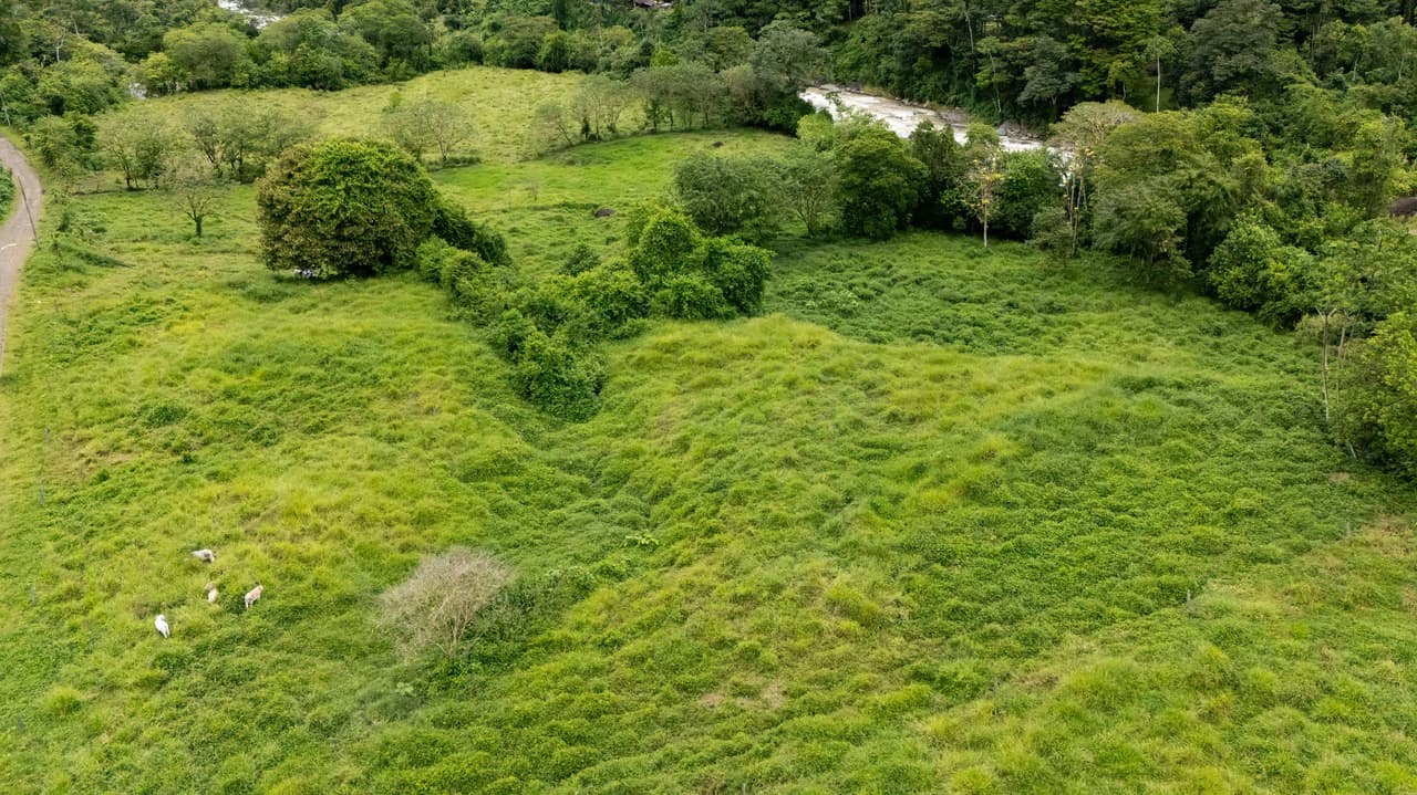 Mountain Home Construction Site For Sale in Río Nuevo - photo 14