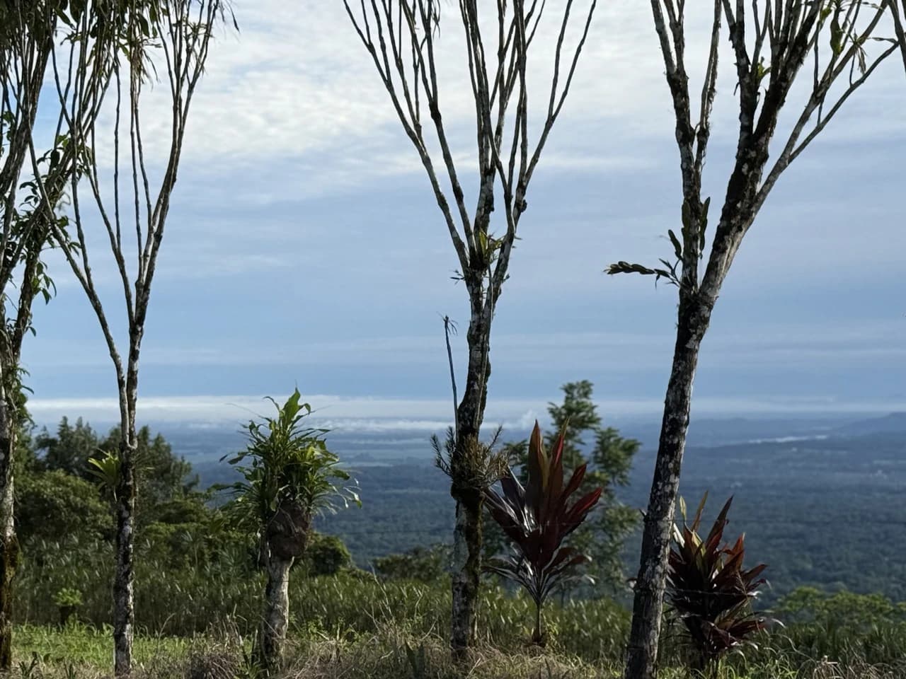 13.81-ACRE COSTA RICA MOUNTAIN PROPERTY | PANORAMIC SUNRISE-TO-SUNSET VIEWS + ELECTRICITY & PRIVATE WELL | NEAR LA FORTUNA — $195,000 - photo 3