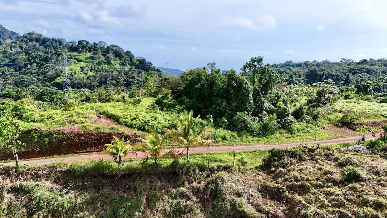 Off-Grid Ocean View Lot | 1.7 Acres in Las Nubes Matapalo Hills - photo 10