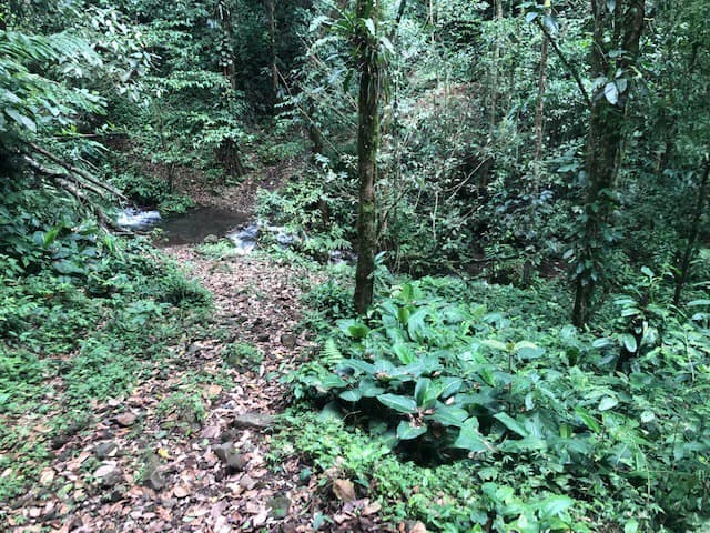 Hot and Cold Thermal Springs for Sale – Beautiful Property in Dos Ríos, Alajuela with Excellent Commercial Potential - photo 62