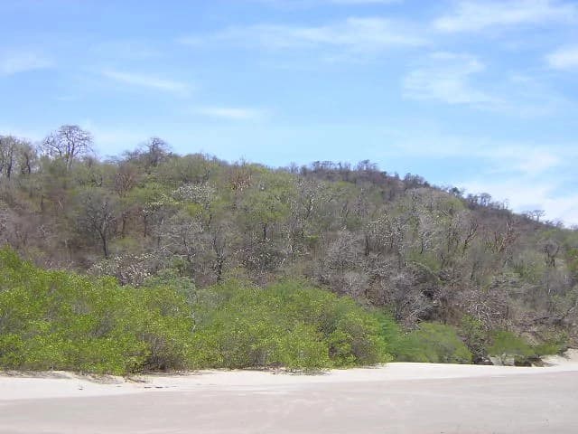 Playa Rajada, 10 HA, white sand beach: on the Pacific Ocean is located on the furthest Northern Peninsula - photo 4