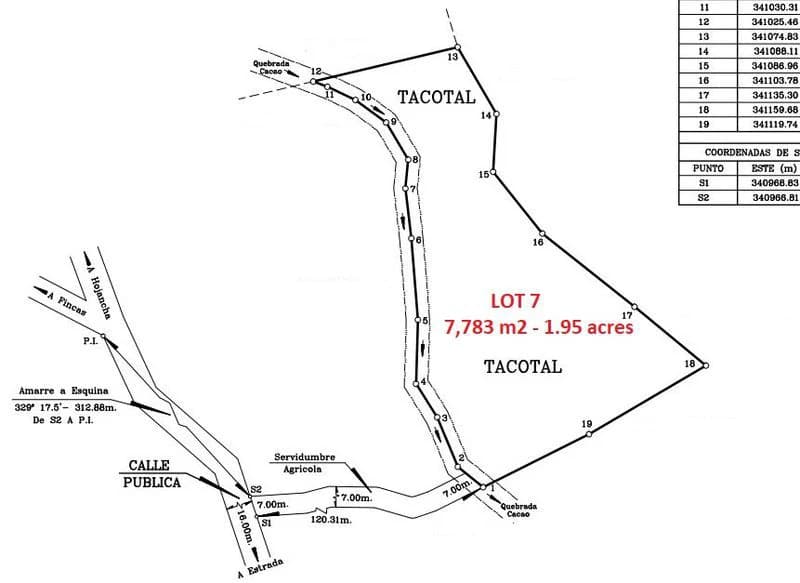 Lotes Bosque Alta: 2 Large Flat Healthy Jungle Lots Totaling 17289 square meters in Estrada, located just 10 minutes after the Town and Beach of Carrillo. - photo 5
