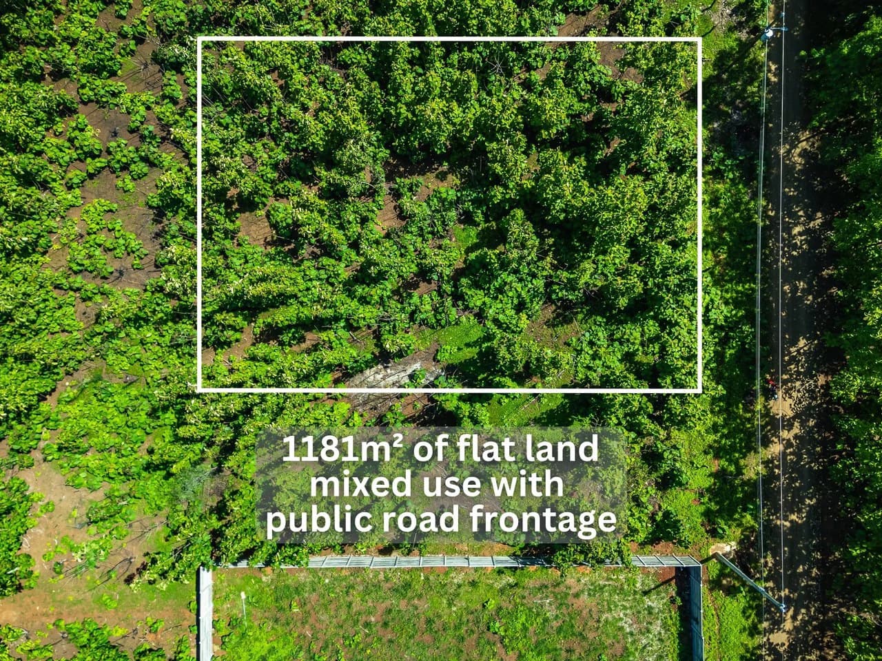 San Jose de Pinilla Lot: Affordable Mixed Use Lot Between Tamarindo & Avellanas - photo 2