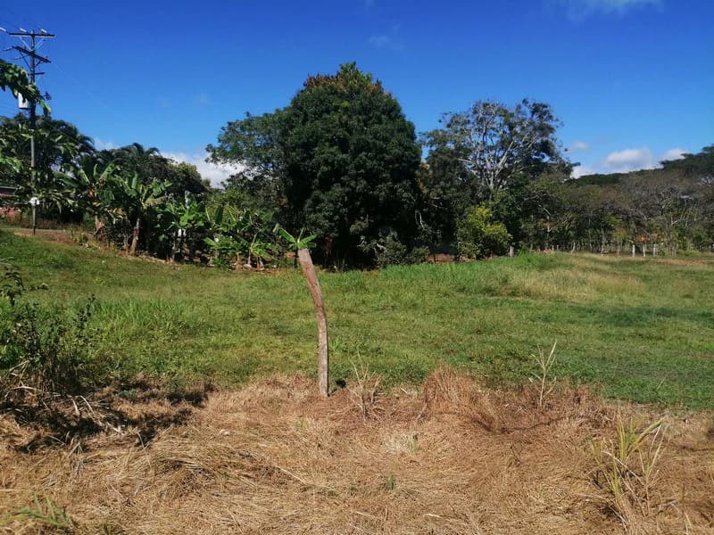 Fantastic large lot in Peaceful Monterrey: Quiet community close to the beach in Esterillos! - photo 3