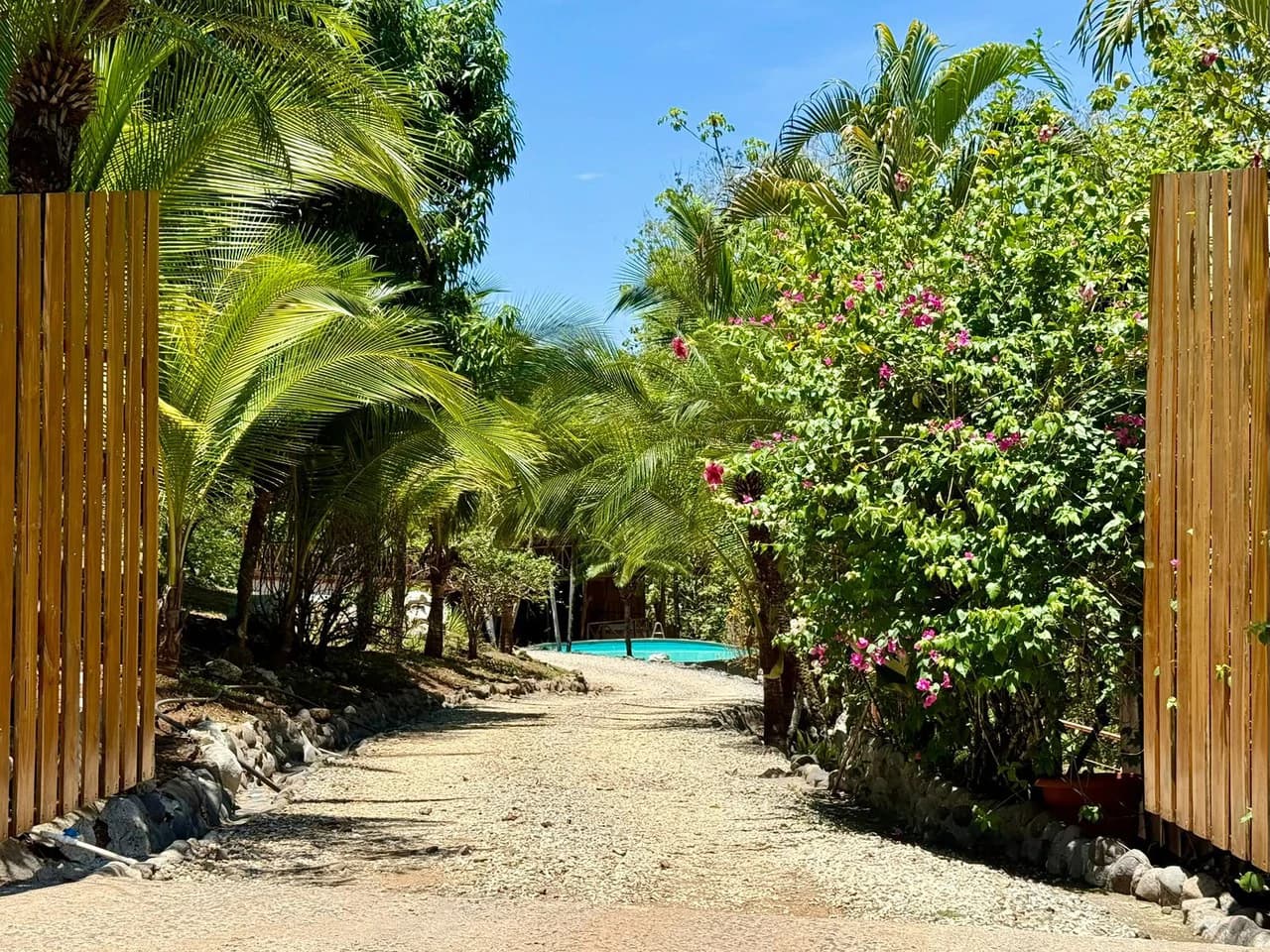 Cobano Jungle Lodge: Santa Fe de Cobano, Costa Rica Tropical Home with Guest House, Airbnb Potential & Jungle Privacy ONLY $249,000 USD! - photo 36