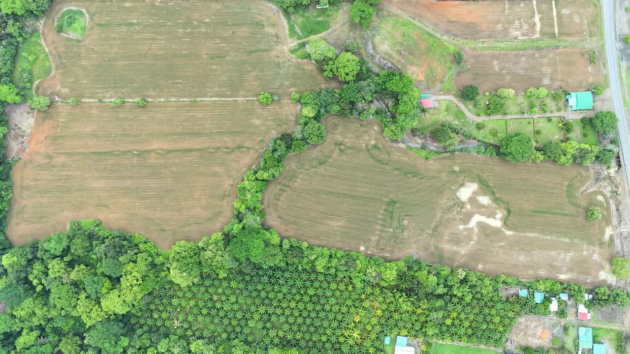 Near the Coast Agricultural Land For Sale in Matapalo - photo 4