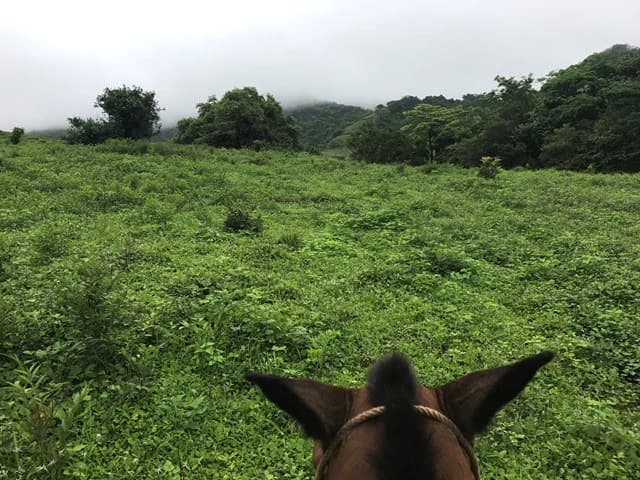 Ocean View Farm - photo 16