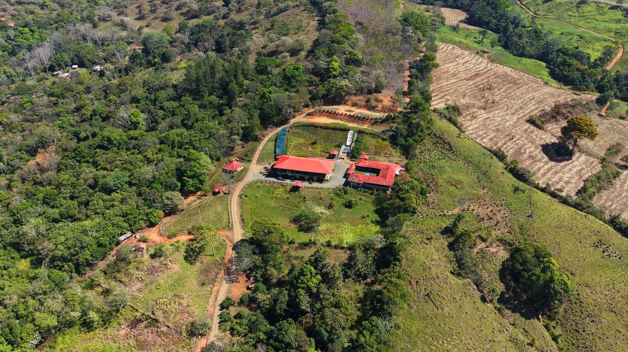 Agricultural Land For Sale in Daniel Flores