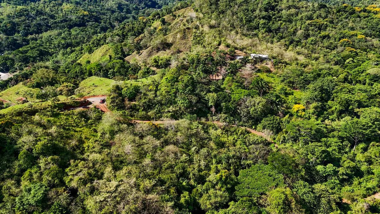 32 Acre Self Sustainable Farm with House Close Ojochal - photo 63