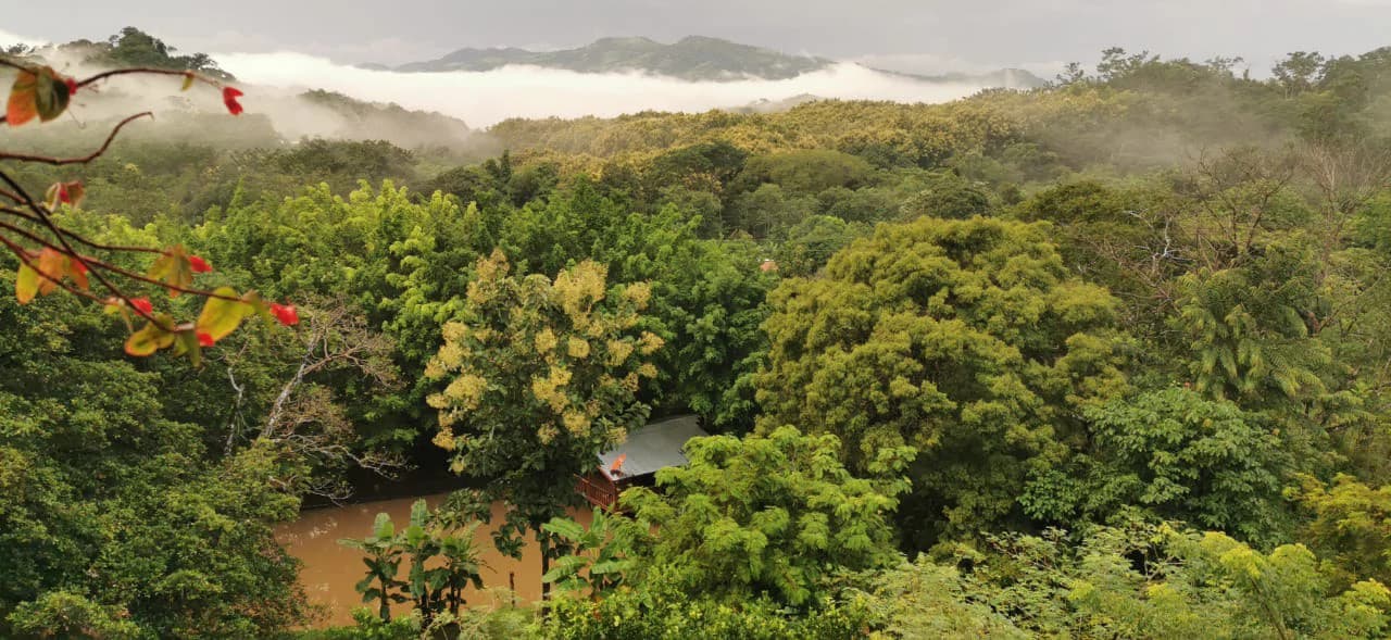 Agricultural Farm for Sale in the mountains of Hojancha, Beautiful 25-acre property with floating lake Apartment and Huge main home - photo 3