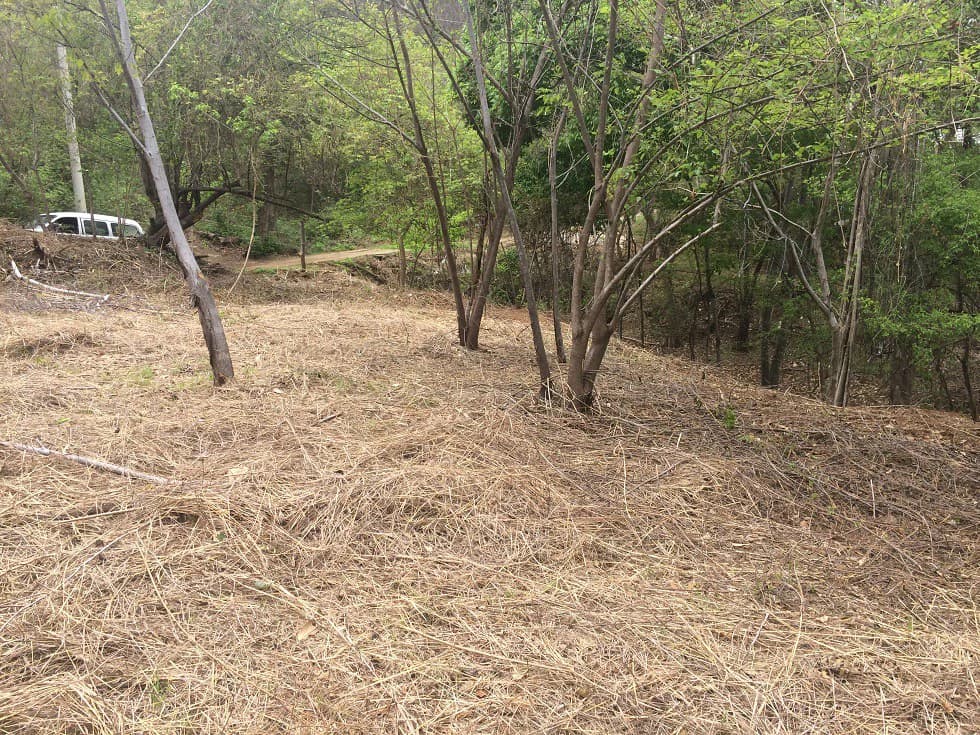 GRAN OPORTUNIDAD. Propiedad grande: Beach property in Playa Ocotal - photo 10