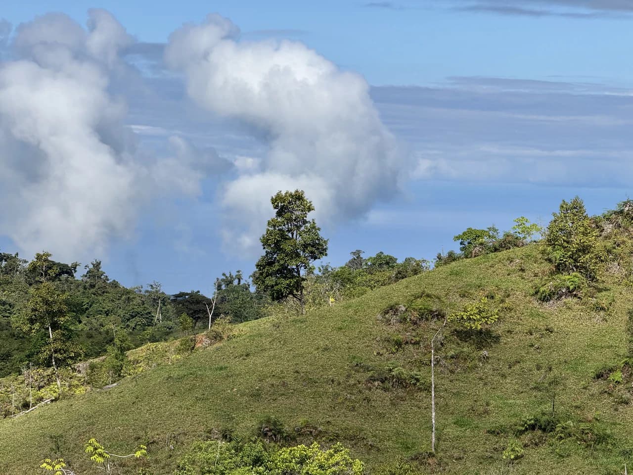 47 Acre Off Grid Ranch with Ocean & Mountain Views San Lorenzo Perez Zeledón - photo 4