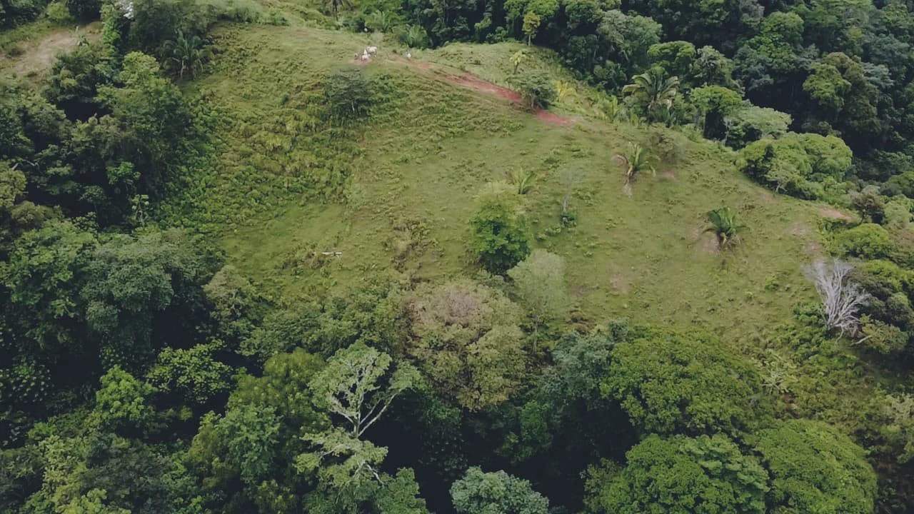 Near the Coast Home Construction Site For Sale in Osa - photo 8