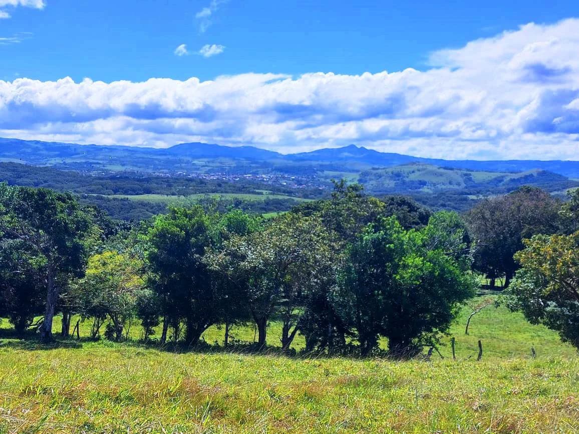 LA CABAÑA - 13+ ACRES & a TINY HOUSE & outstanding VIEWS - REDUCED PRICE - SELLER MOTIVATED - photo 20