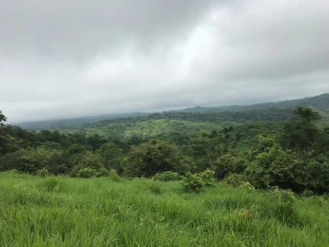 Ocean View Farm - photo 4