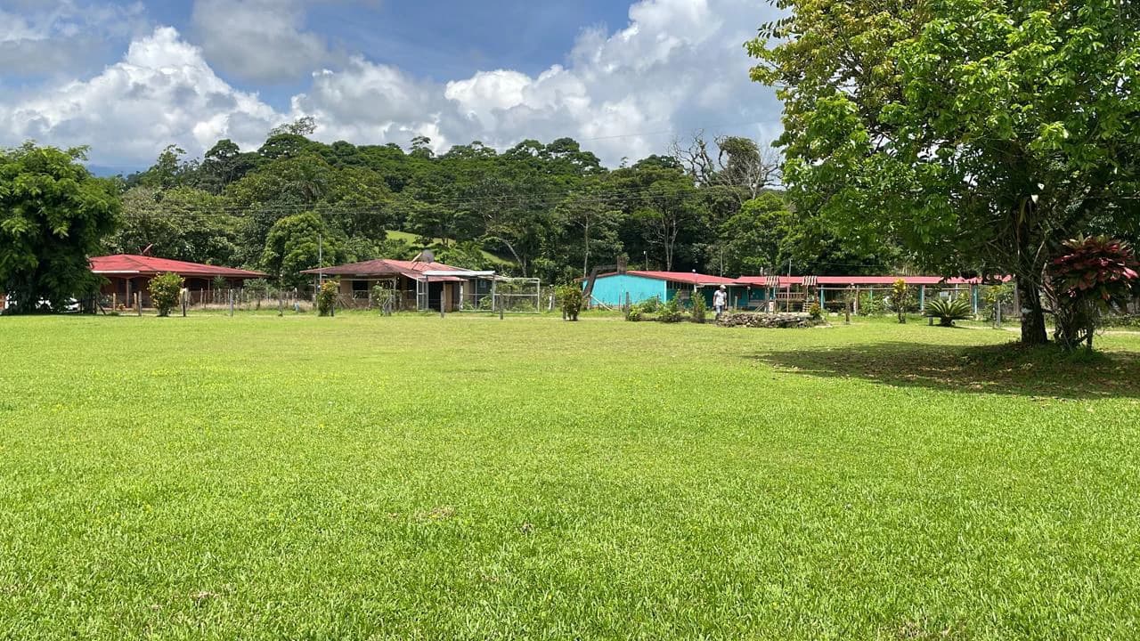 Mountain Agricultural Land For Sale in Bijagua - photo 38