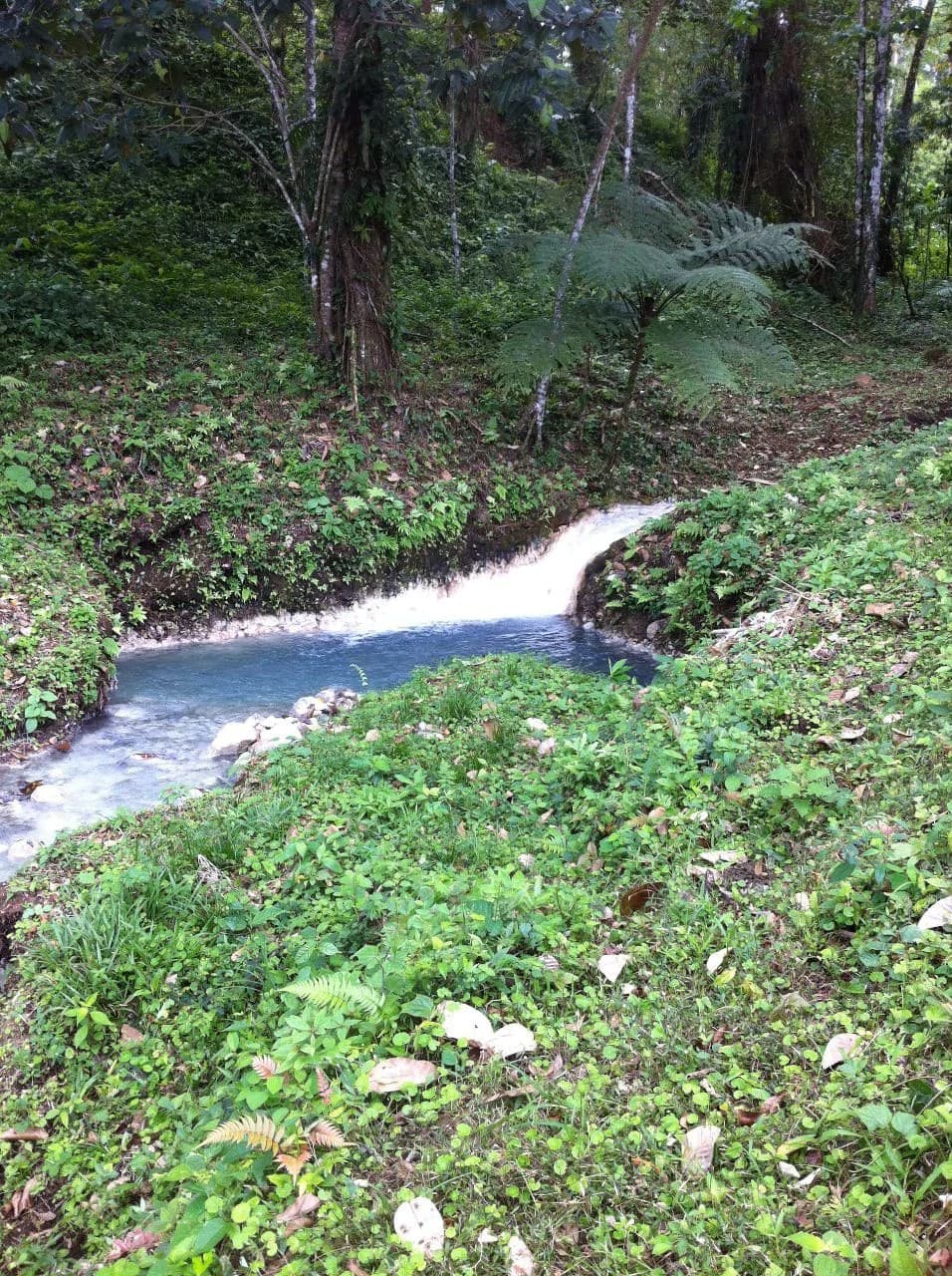Hot and Cold Thermal Springs for Sale – Beautiful Property in Dos Ríos, Alajuela with Excellent Commercial Potential - photo 83