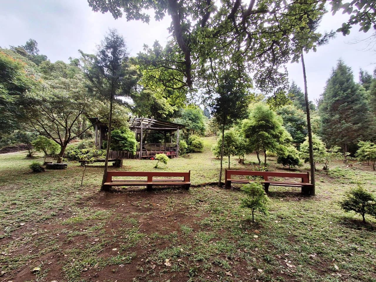 Mountaintop Canvas!: 31,000m2 - Entrepreneur's Dream Property! - photo 7