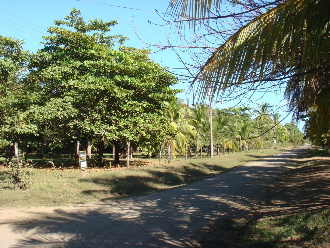 Second-Row Lot for Sale Playa San Miguel, Nandayure, Guanacaste - photo 6