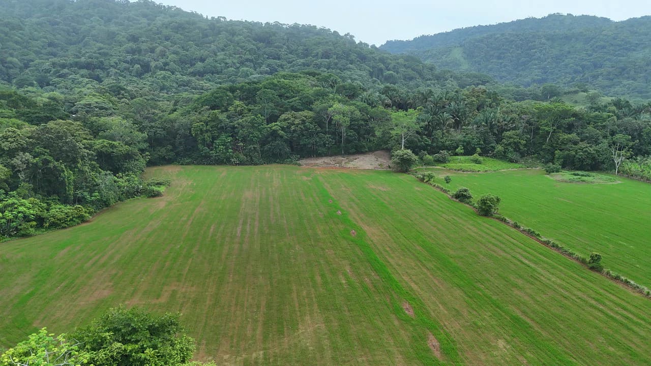 Near the Coast Agricultural Land For Sale in Matapalo - photo 10