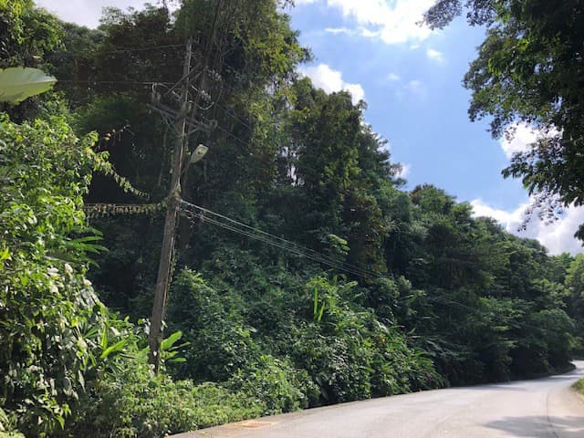 6.5 ACRES – Space To Grow, Build & Thrive, Close To The Beach & Commercial Potential Road Frontage!!!!!: Mountain and Countryside Development Parcel For Sale in Platanillo de Dominical - photo 15