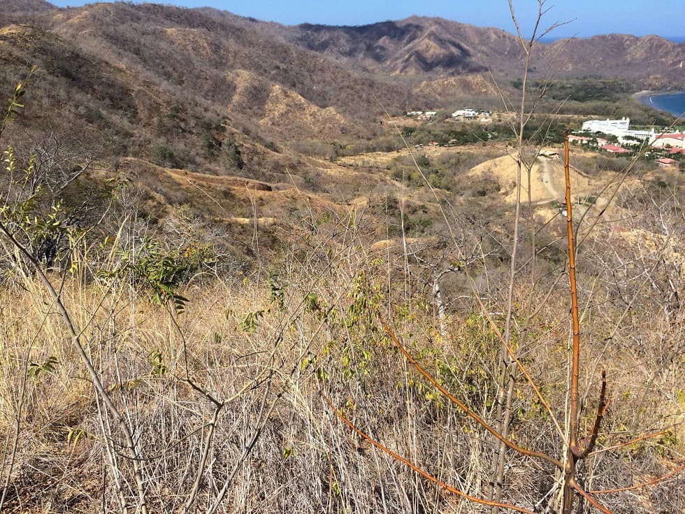 Ocean view property in the area of Guanacaste, great commercial opportunity near the Hotel Riu - photo 13