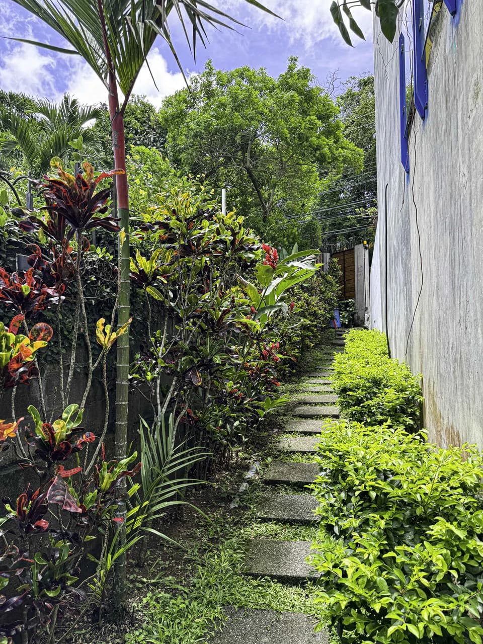 Casa Tropical Chic: mountainside home - photo 17