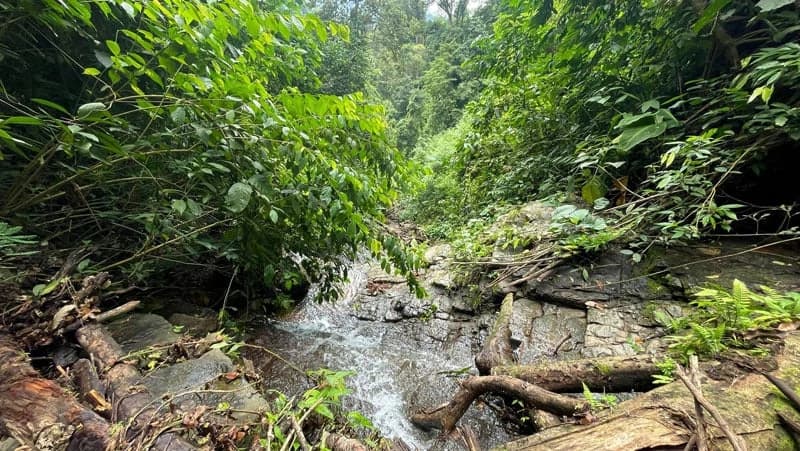 116-Hectare Finca for Sale Near Uvita with Whales Tail Views and 10 Waterfalls | La Faralla, Bahia Ballena, Uvita, Puntarenas, Costa Rica - photo 80