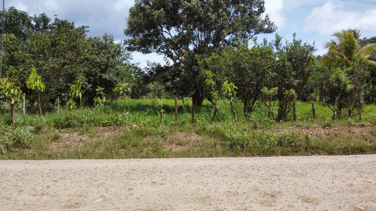 Se vende propiedad en el Rosario Pacuar, Pérez Zeledón.: Countryside Home Construction Site For Sale in Daniel Flores - photo 16