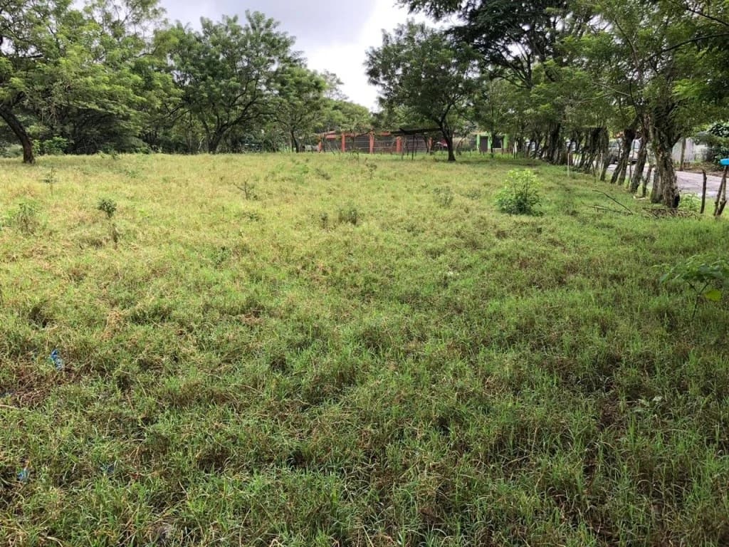 Commercial property in Guácima, Alajuela