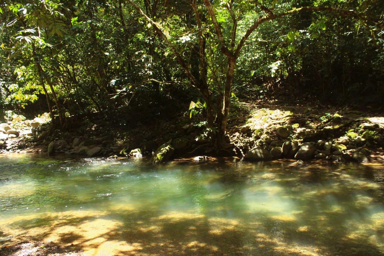 Wildlife Reserve Farm close to Ojochal - photo 1
