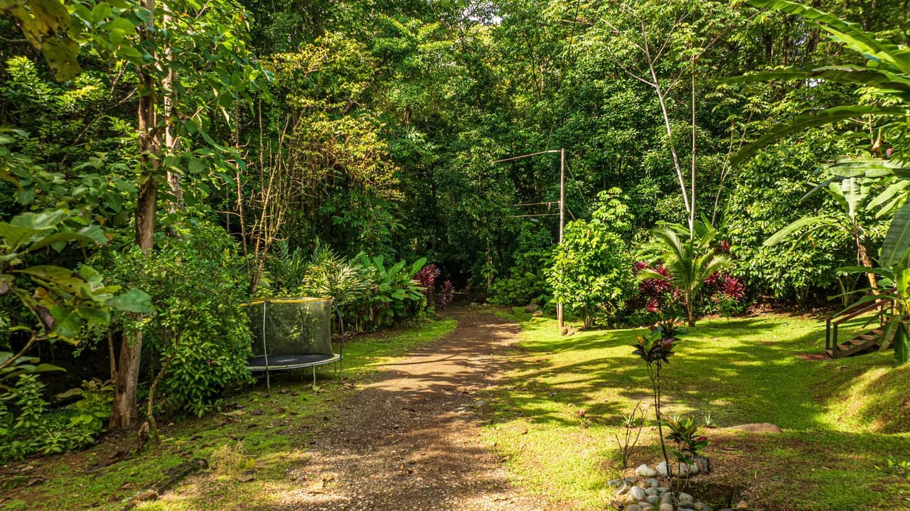 A Jungle House Built of Wood & River Dreams - photo 7