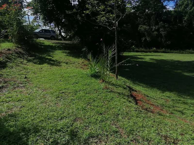 69.16 Acres Property | Mountain & Top Ocean View with Small Home - photo 36