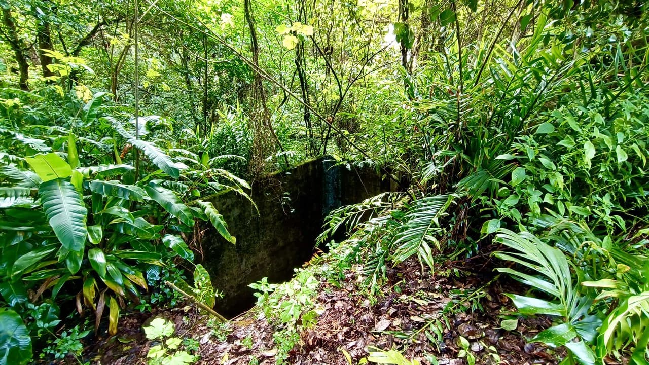 Farm for sale in Santa Barbara de Heredia - photo 42