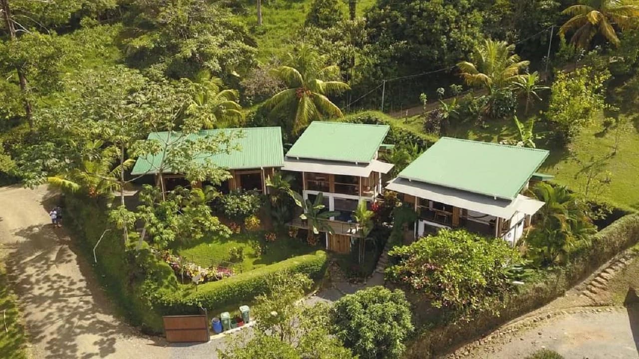 Cabinas Bambura: Cabinas Bambura: Successful Airbnb Business with Stunning Mountain & Jungle View
