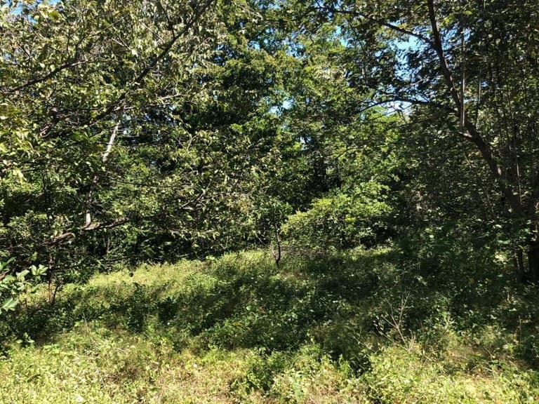 HIGHWAY TO HEAVEN: Commercial potential ! Large property on the Panamerican Highway. - photo 14