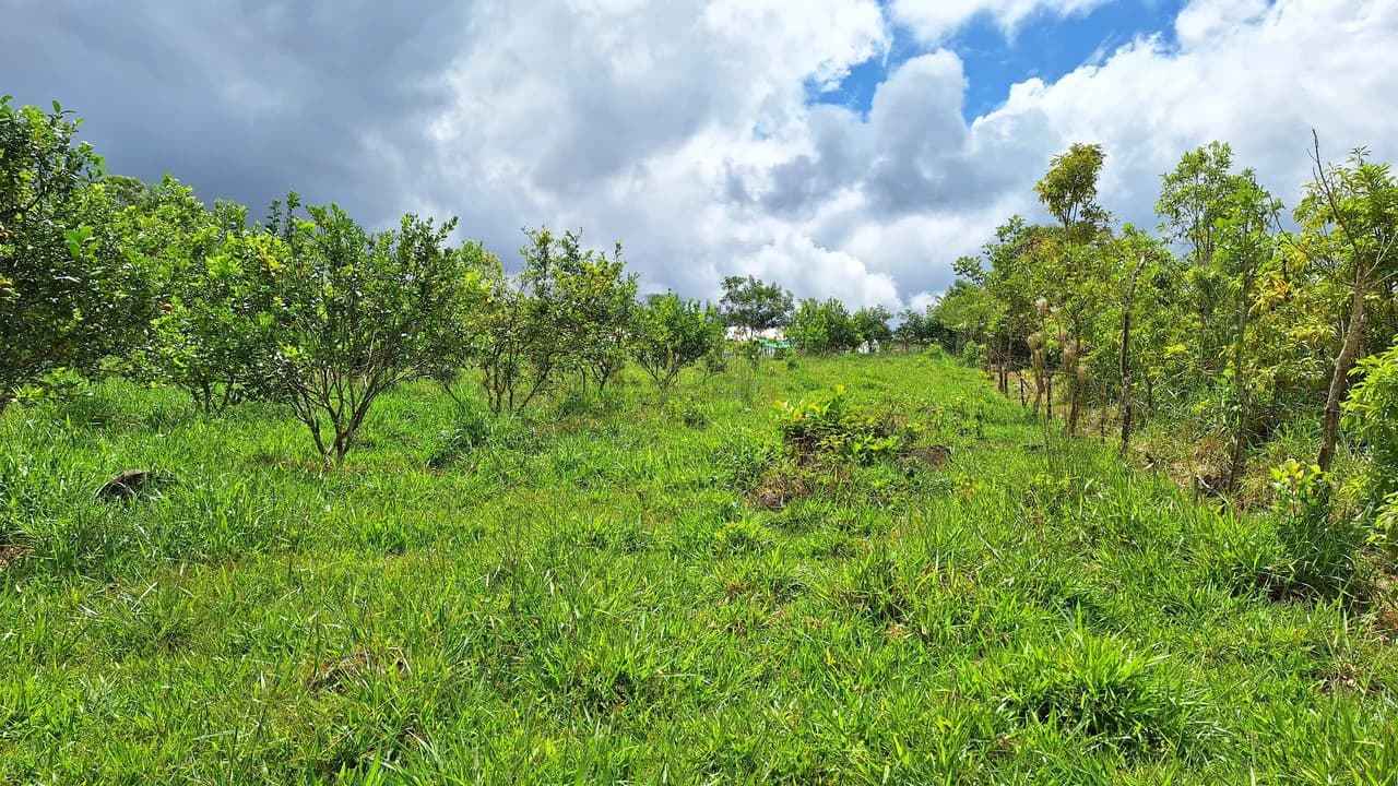 Se vende lote agrícola, en Cajón, Perez Zeledon.: Mountain Home Construction Site For Sale in Cajón - photo 20
