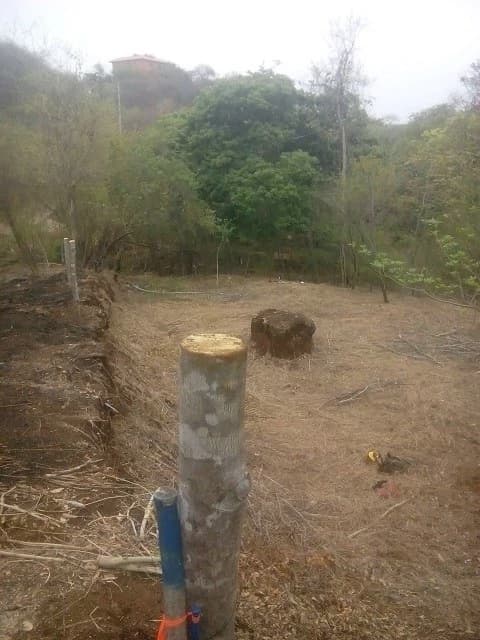 GRAN OPORTUNIDAD. Propiedad grande: Beach property in Playa Ocotal - photo 6