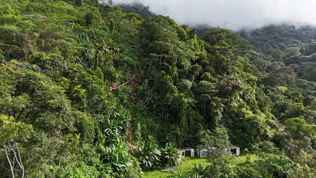 Exceptional Ocean & Mountain View Property in Pinuela Arriba, Costa Rica - photo 10