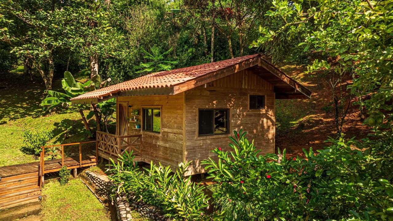 A Jungle House Built of Wood & River Dreams - photo 2