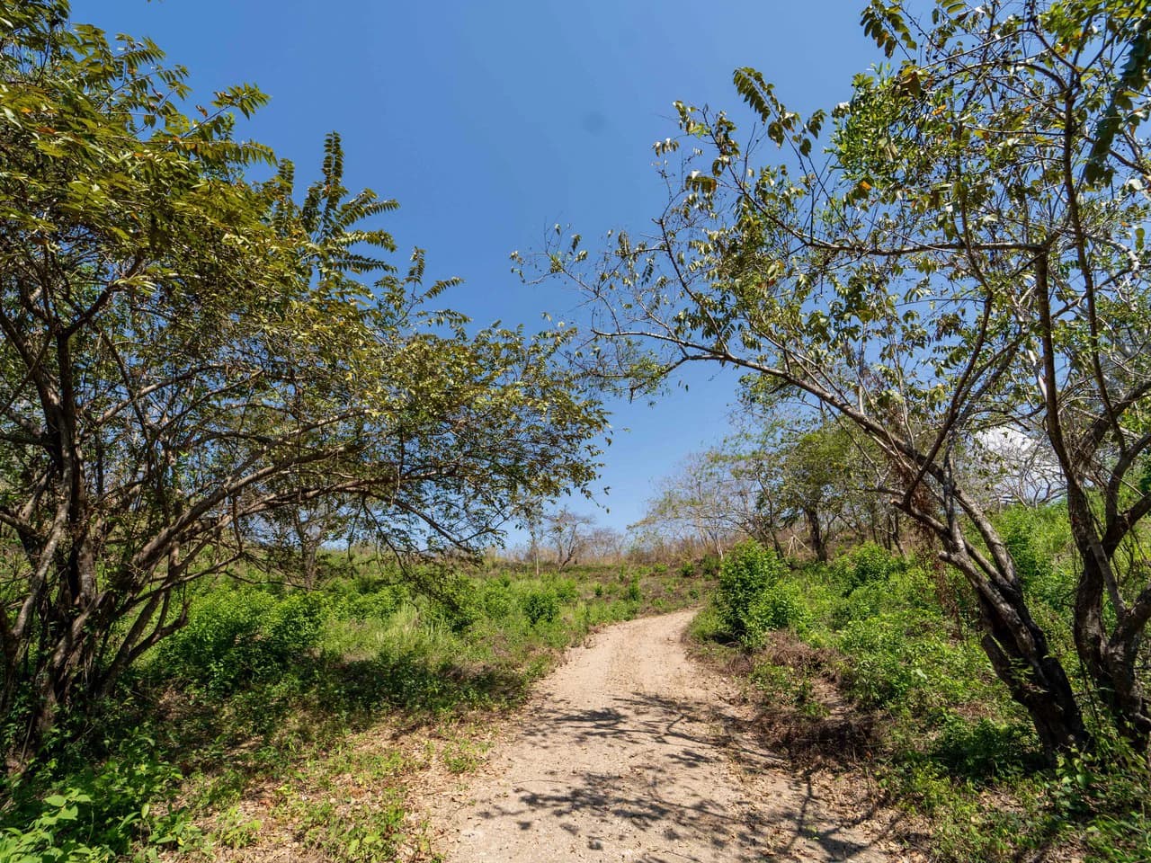 Finca Punta Indio: Dream Investment Opportunity - photo 7