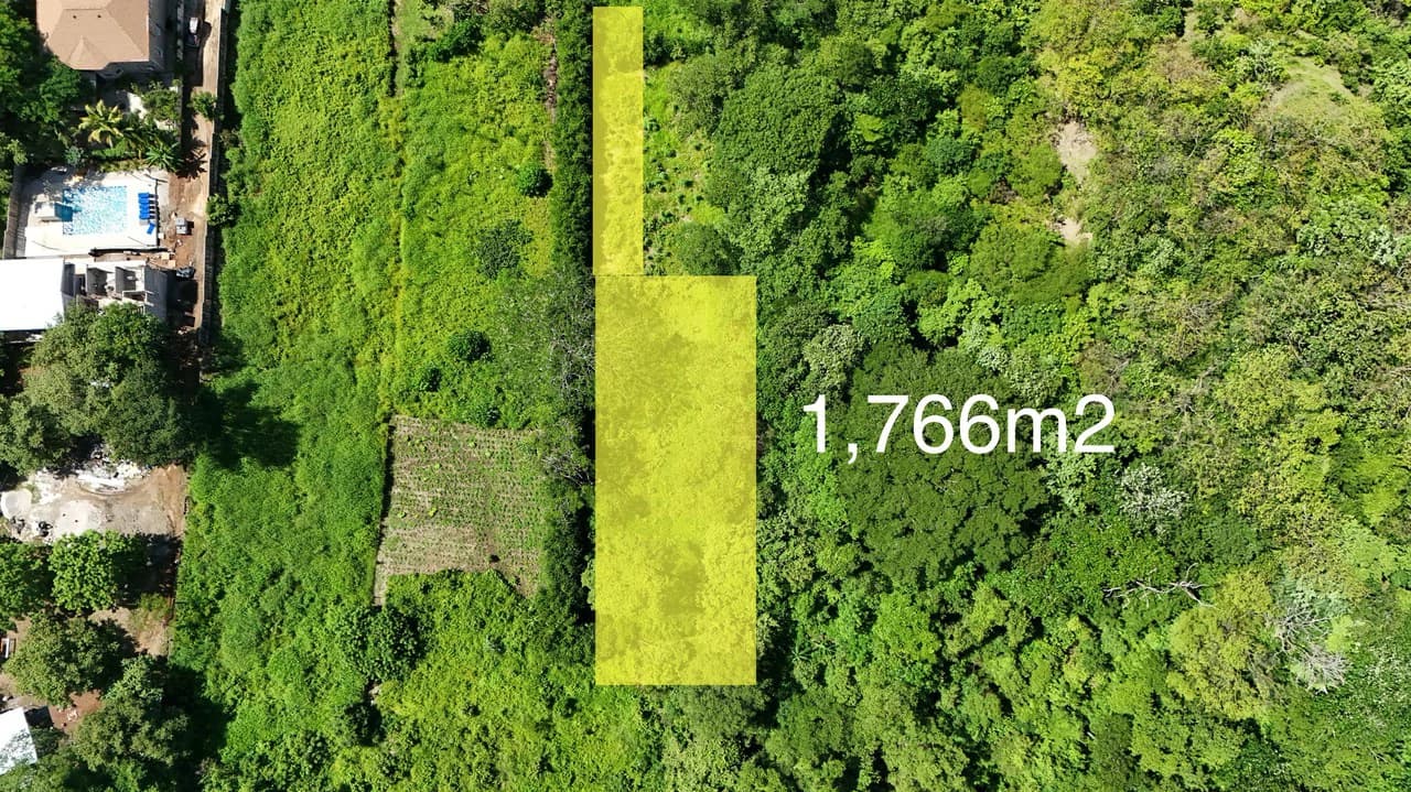 1,766 m² Lot: Between Playa Grande & Tamarindo - photo 3