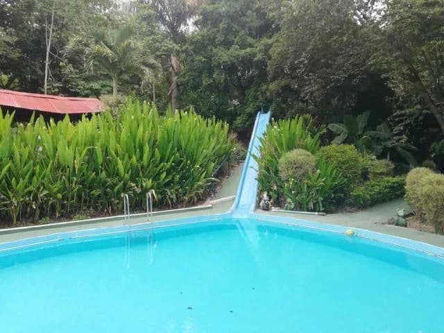 Hotspring Resort for sale in Salitral, Cold and Warm spring swimming pools surrounded by teak and eucalyptus rustic cabins - photo 2