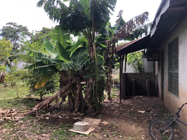 Great Opportunity - Commercial Property in Coco Beach - photo 10