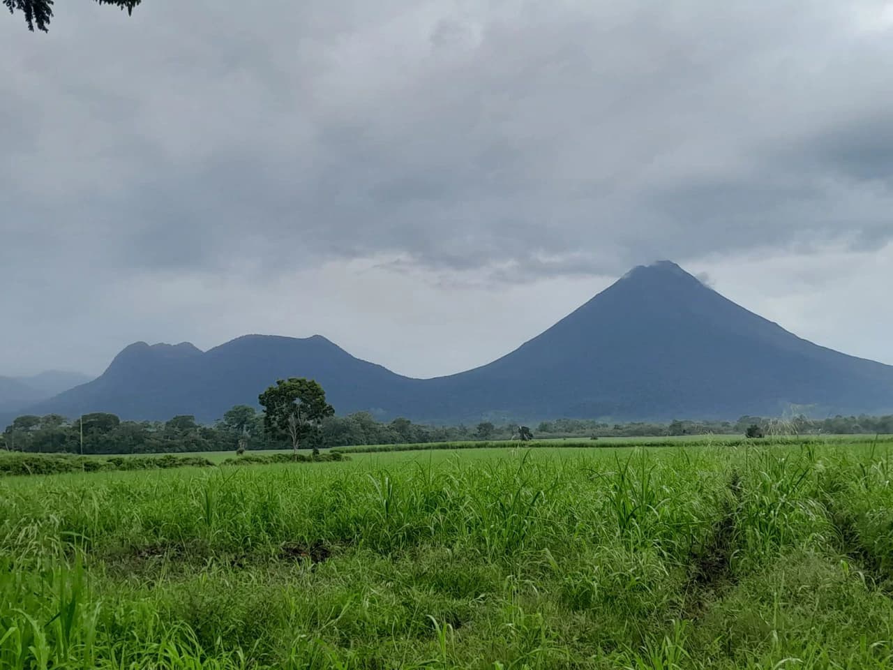 La Fortuna (Arenal) Opportunity!: 4 ha in La Fortuna Tourist Hotspot! USO: Hotel | Commercial | Mixted - photo 6