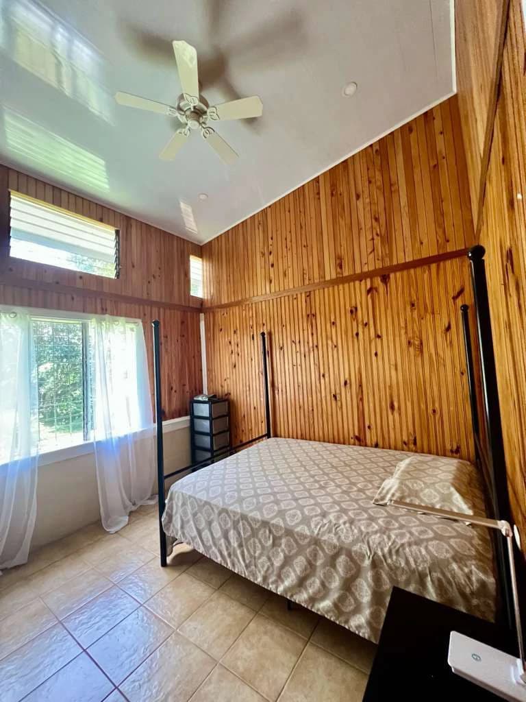Tropical Organic Fruit Farm with 2 Bedroom Home - photo 8
