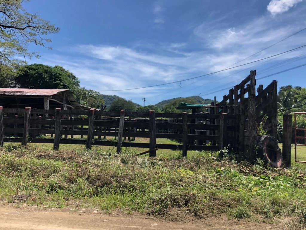 Huge dream Cattle farm for sale with 2 houses close to the Gulf of Nicoya, Guanacaste, Costa Rica - photo 20