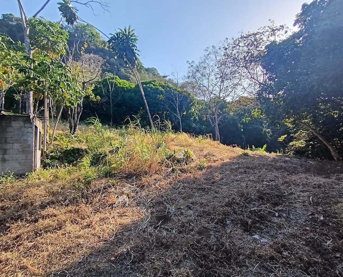 Property for sale in Ciudad Colon San José Costa Rica - photo 12