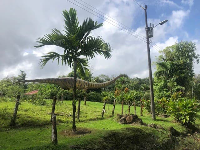 Hot and Cold Thermal Springs for Sale – Beautiful Property in Dos Ríos, Alajuela with Excellent Commercial Potential - photo 4