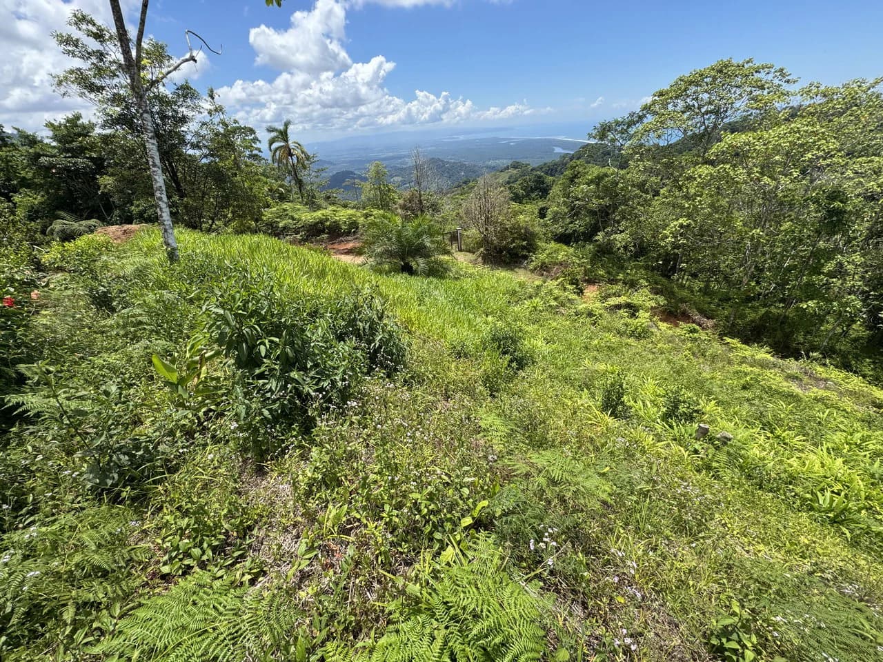 Ocean View Homesite with Panoramic Coastline Vistas in Ojochal - photo 5